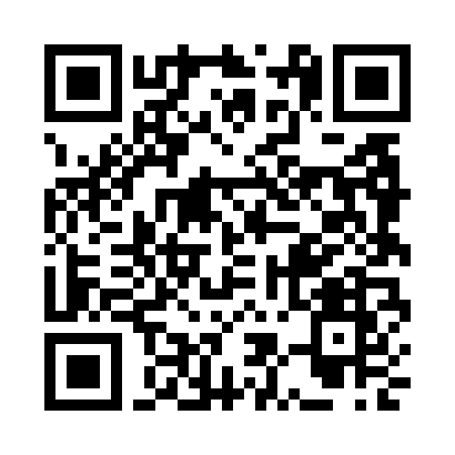 Stellar tip QR code
